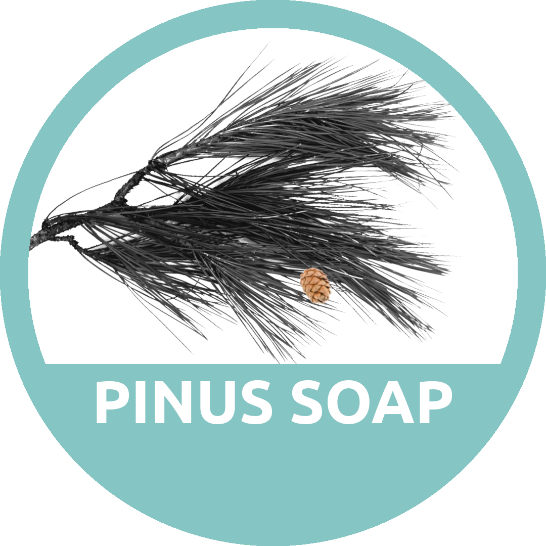 Pinus Soap